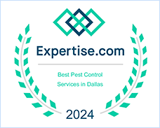 Expertise Dallas