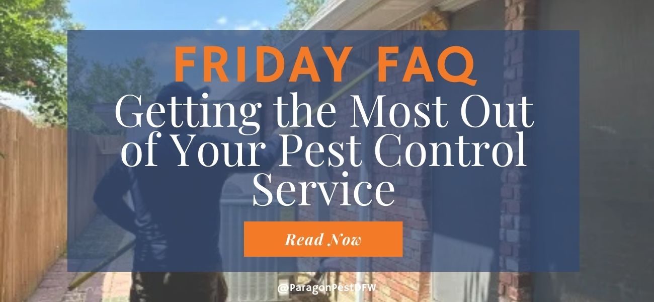 Getting the Most Out of Your Pest Control Service