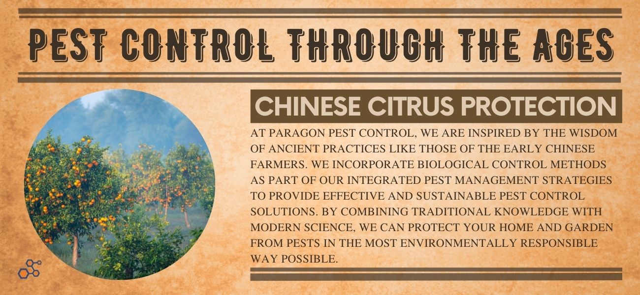 Chinese Citrus Protection: Ancient Pest Control Methods and Modern ...
